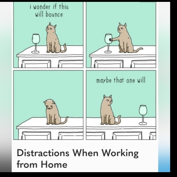 Casual Work & Play Pants⚠️ LOT of TWO - Picture 12 of 16